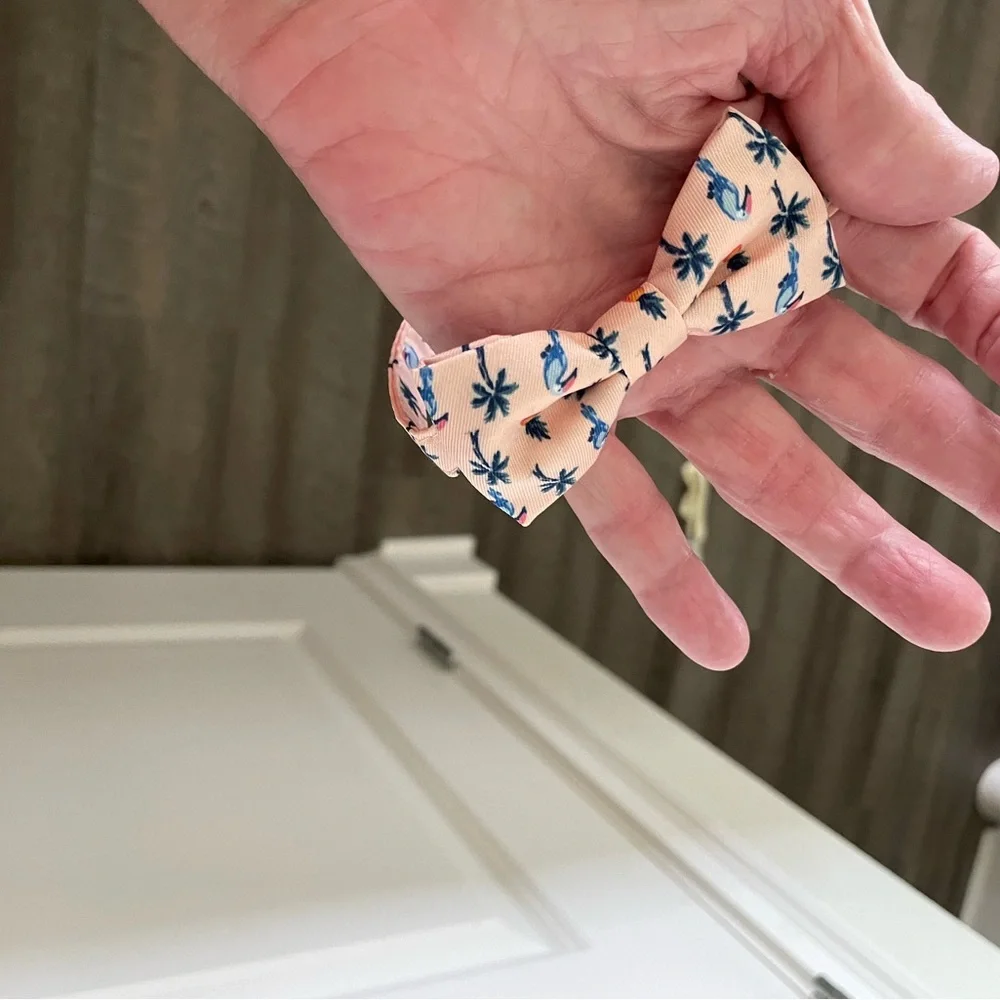 Janie and Jack Peach Tropical Kids Bow Tie